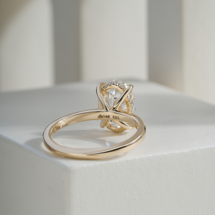 Oval 2.52CT E VVS2 April Hidden Halo Ring