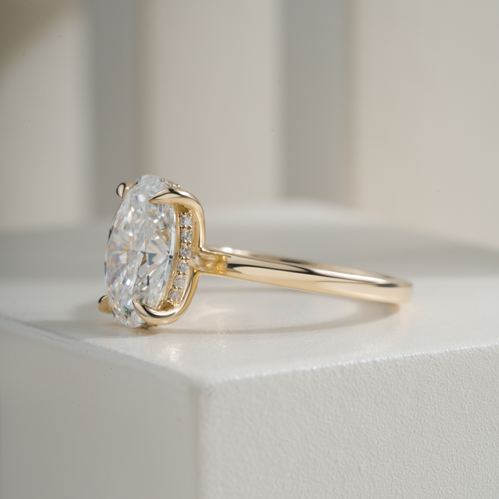 Oval 3.06CT E VVS2 April Hidden Halo Ring Setting