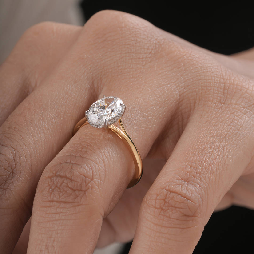 Taylor Split Shank Hidden Halo Engagement Ring