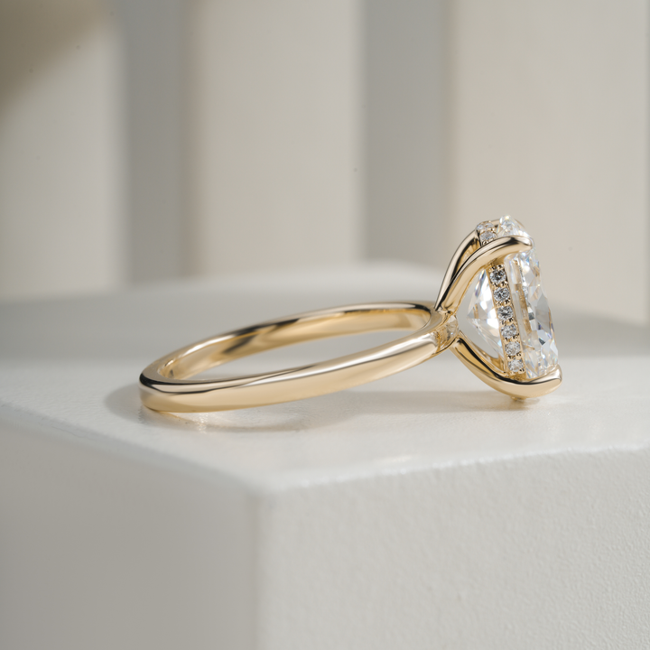 Oval 3.06CT E VVS2 April Hidden Halo Ring Setting