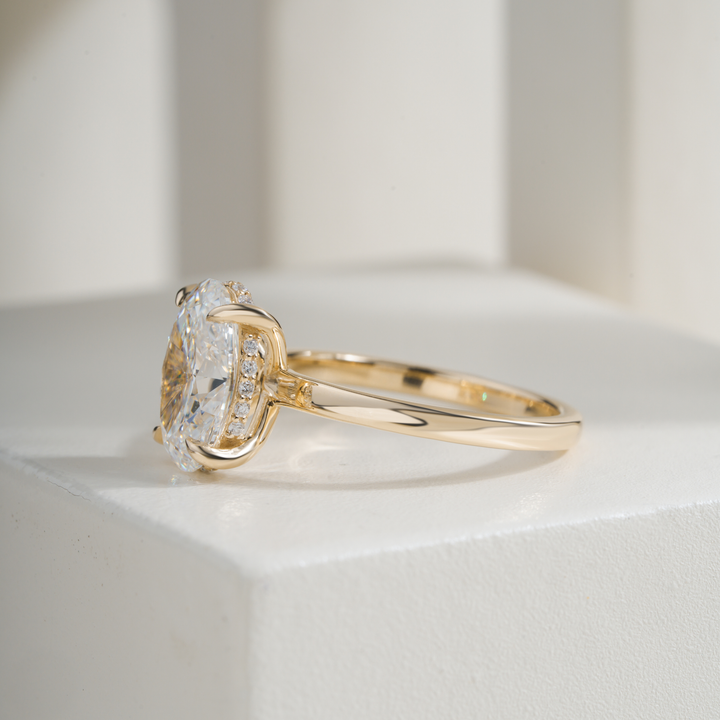 Oval 2.52CT E VVS2 April Hidden Halo Ring