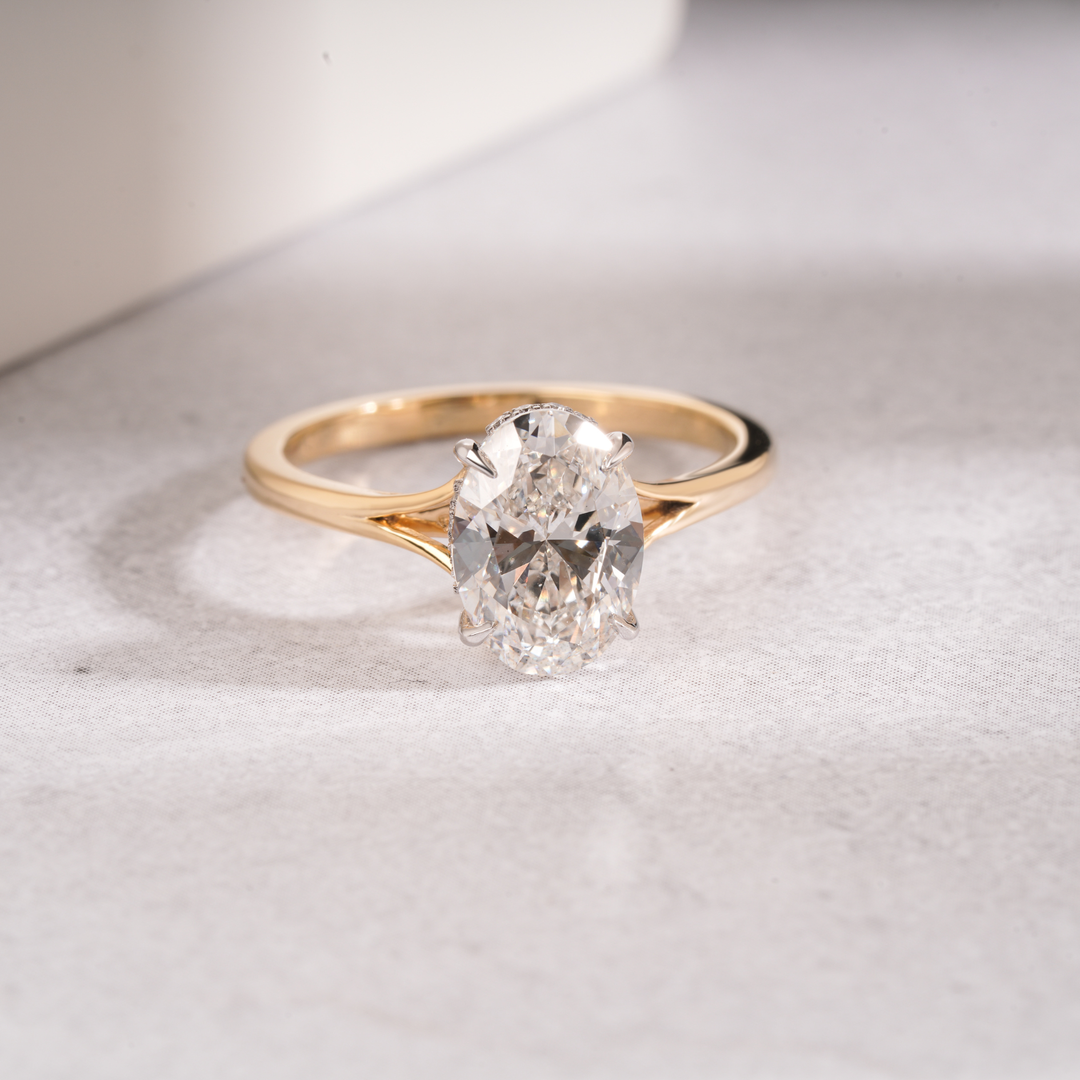 Taylor Split Shank Hidden Halo Engagement Ring