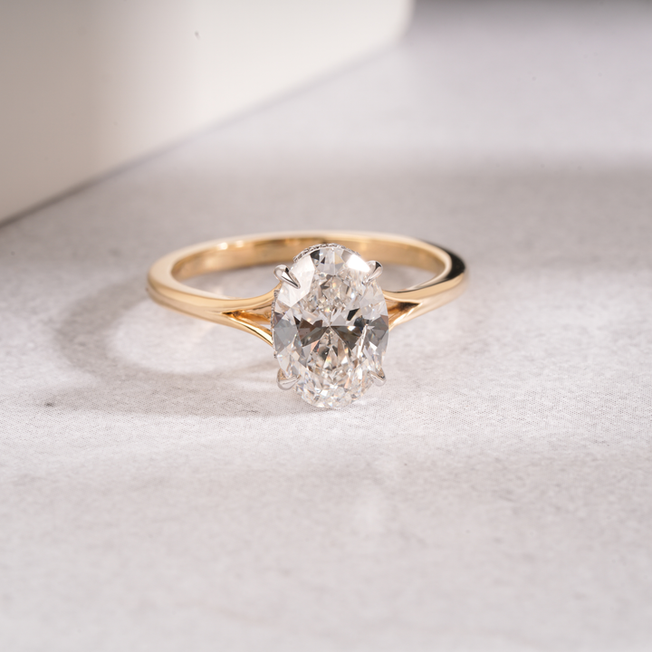 Taylor Split Shank Hidden Halo Engagement Ring