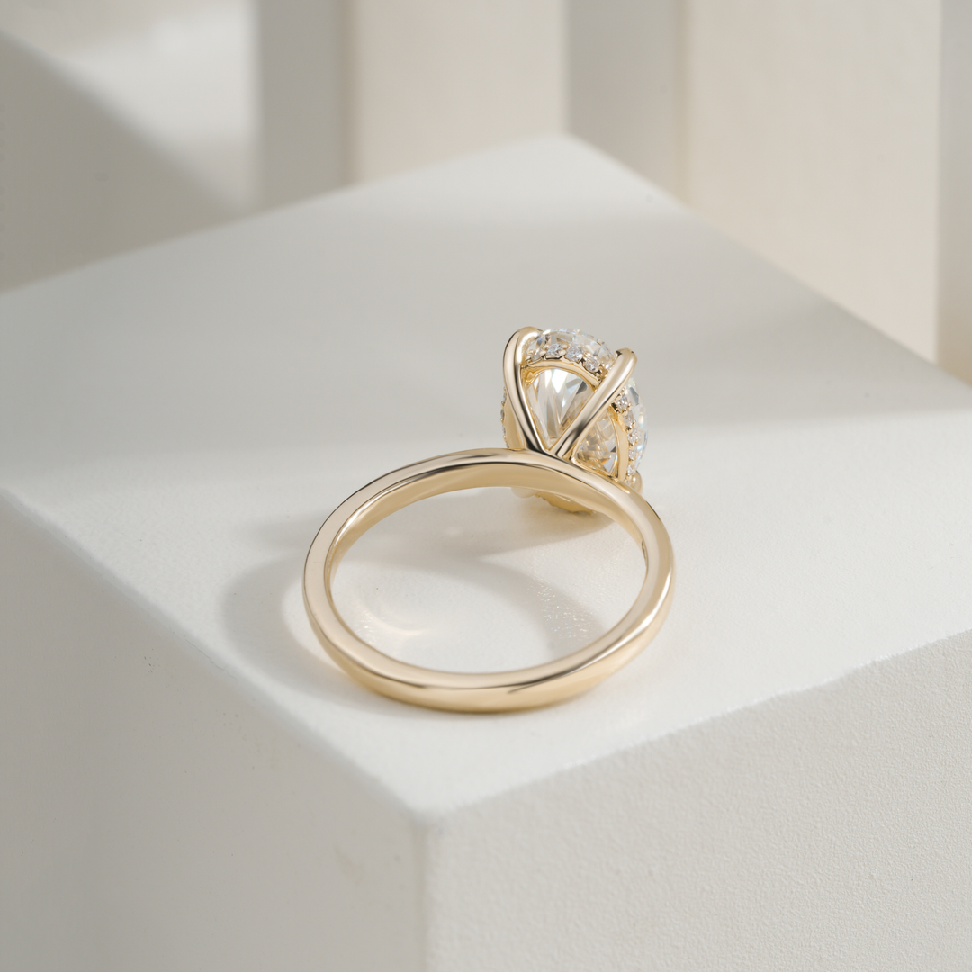 Oval 3.06CT E VVS2 April Hidden Halo Ring Setting