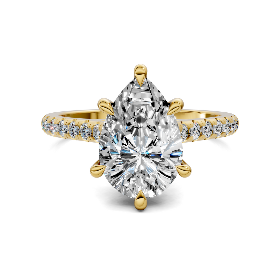 Hollie Hidden Halo Cathedral Pavé Ring
