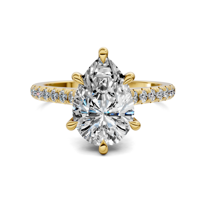 Hollie Hidden Halo Cathedral Pavé Ring