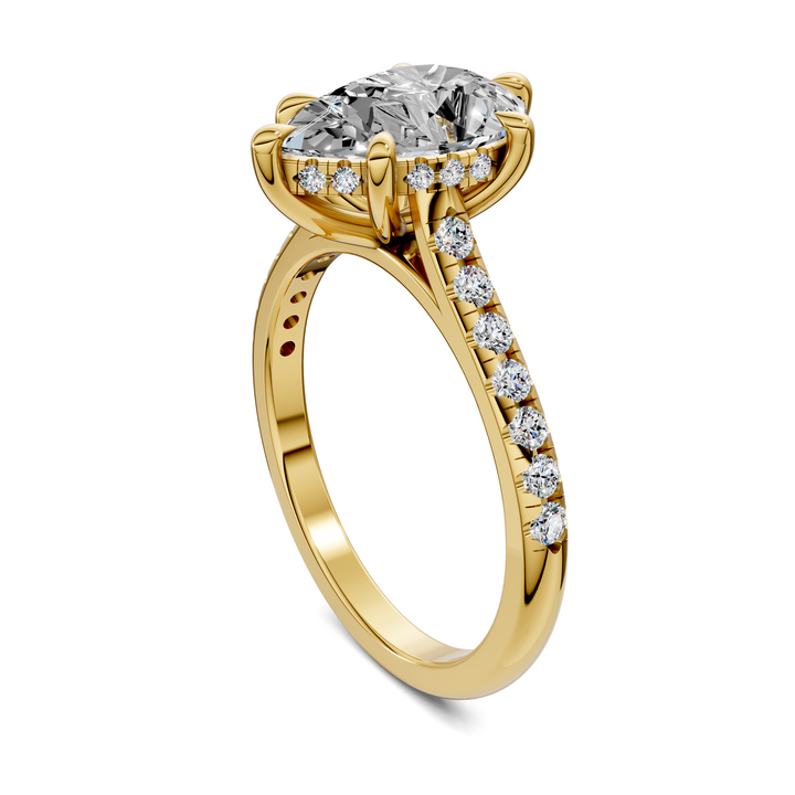 Hollie Hidden Halo Cathedral Pavé Ring