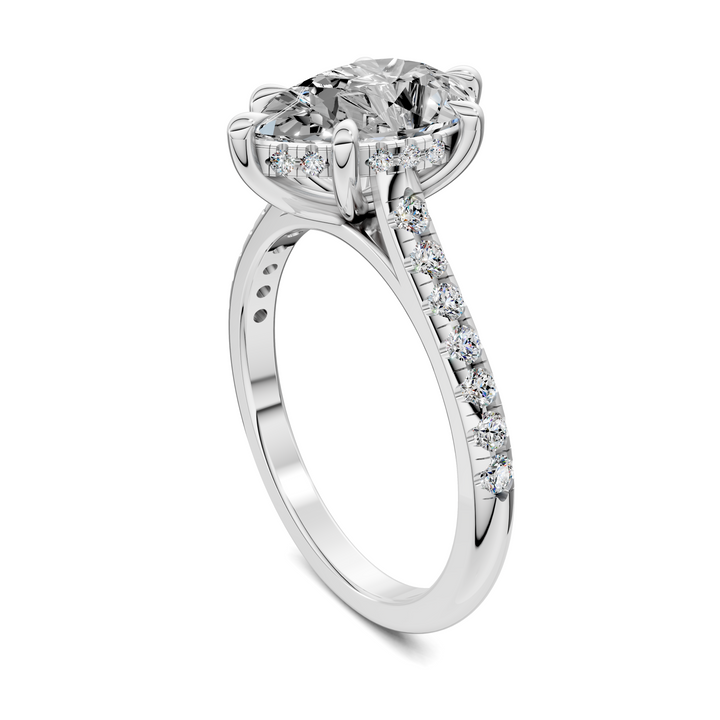 Hollie Hidden Halo Cathedral Pavé Ring