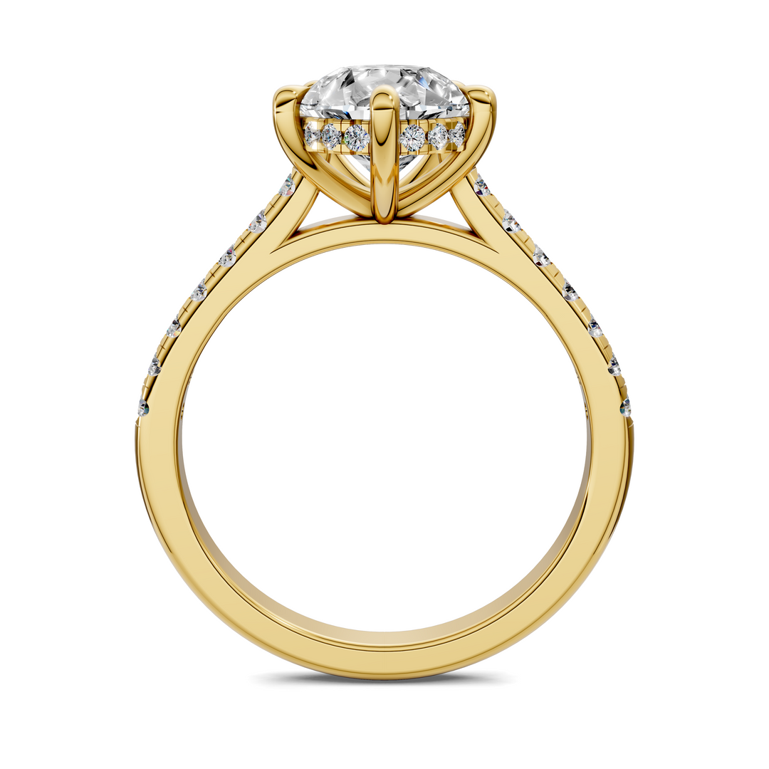 Hollie Hidden Halo Cathedral Pavé Ring