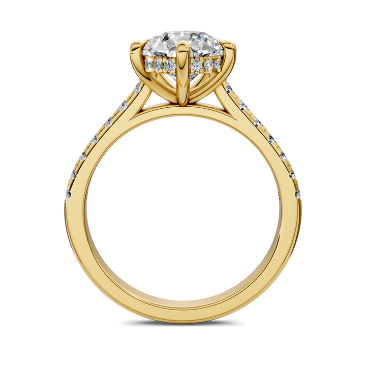 Hollie Hidden Halo Cathedral Pavé Ring
