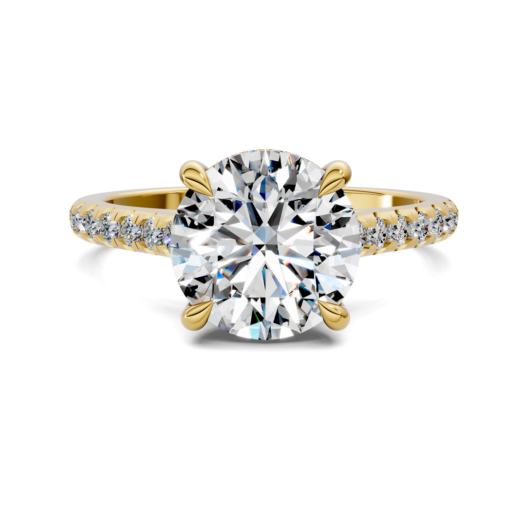 Hollie Hidden Halo Cathedral Pavé Ring