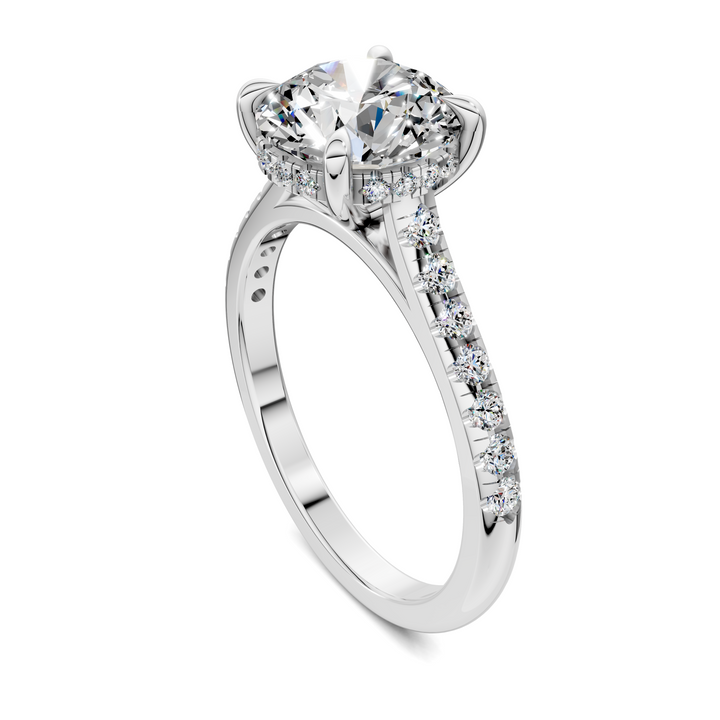 Hollie Hidden Halo Cathedral Pavé Ring
