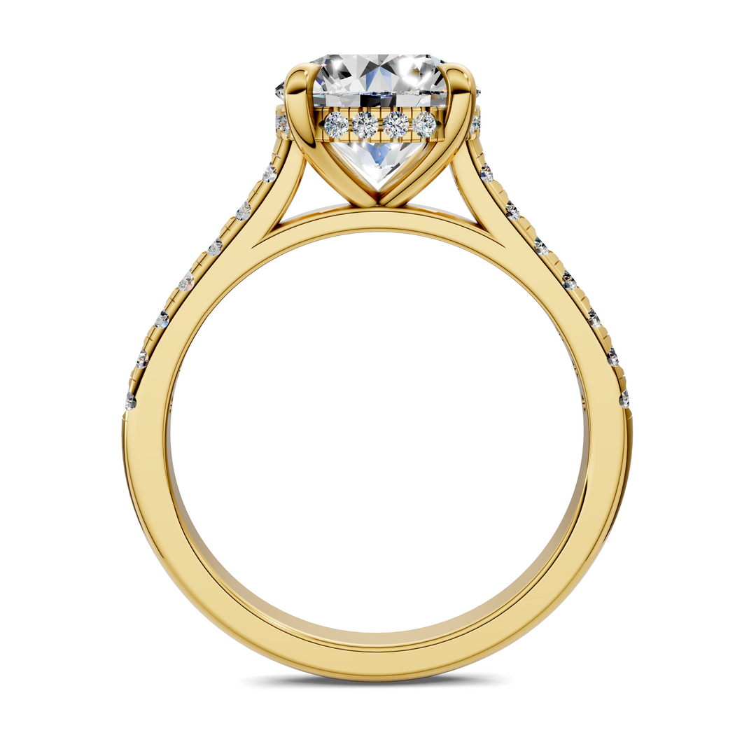 Hollie Hidden Halo Cathedral Pavé Ring