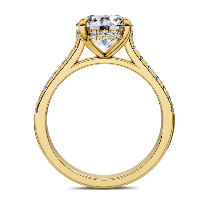 Hollie Hidden Halo Cathedral Pavé Ring