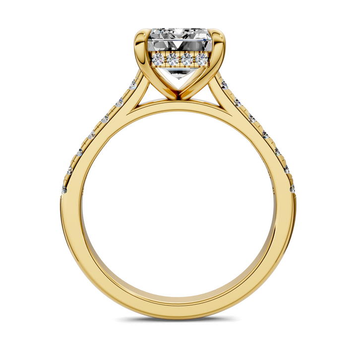 Hollie Hidden Halo Cathedral Pavé Ring
