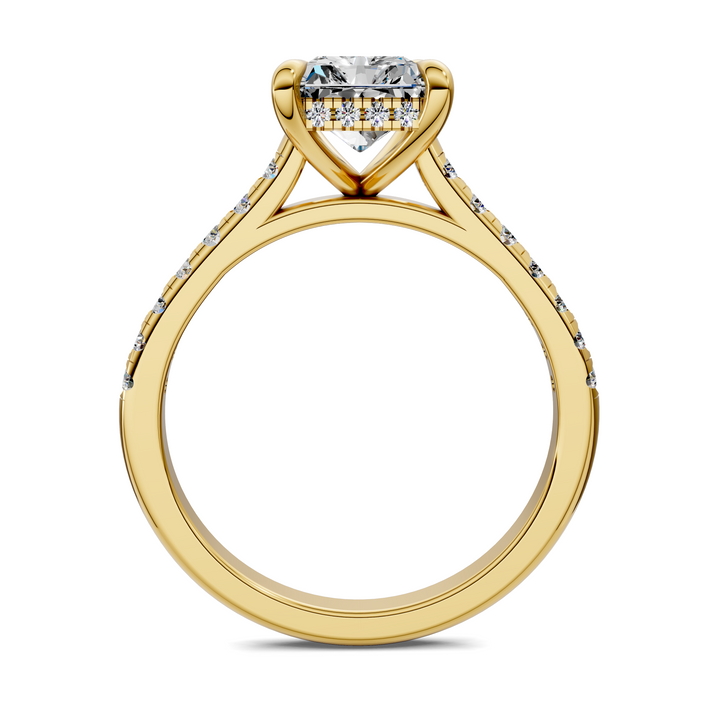 Hollie Hidden Halo Cathedral Pavé Ring