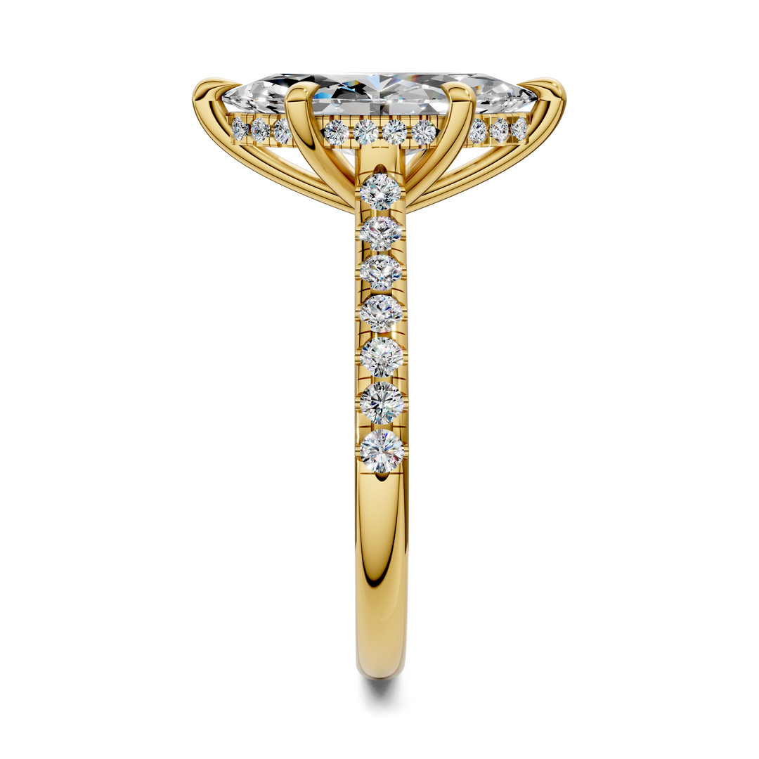 Hollie Hidden Halo Cathedral Pavé Ring