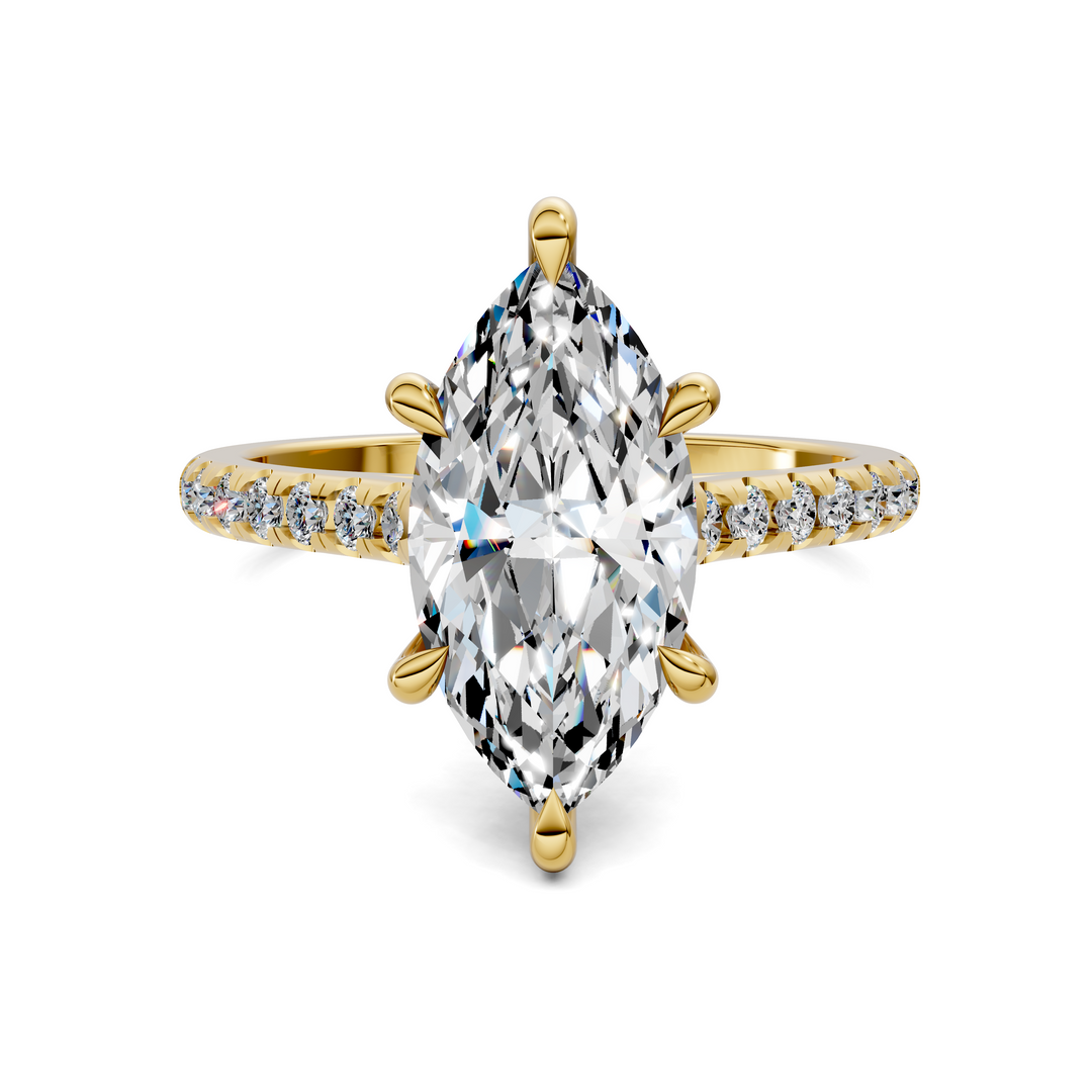 Hollie Hidden Halo Cathedral Pavé Ring