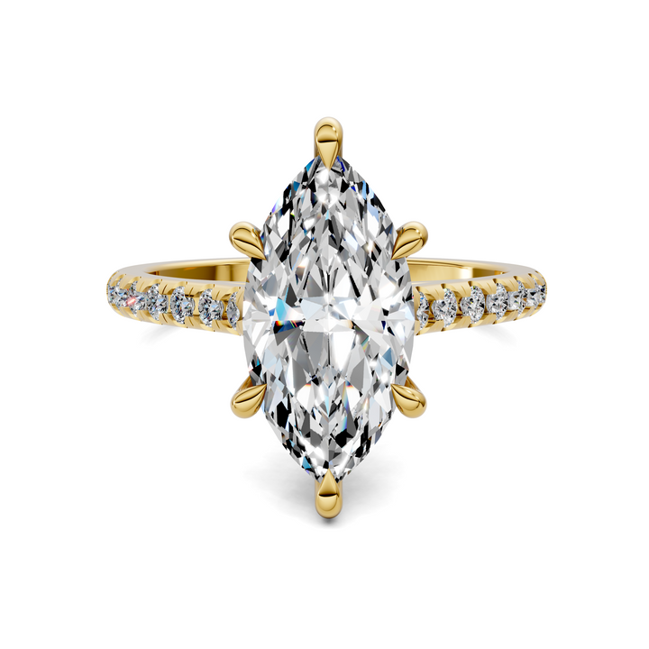 Hollie Hidden Halo Cathedral Pavé Ring