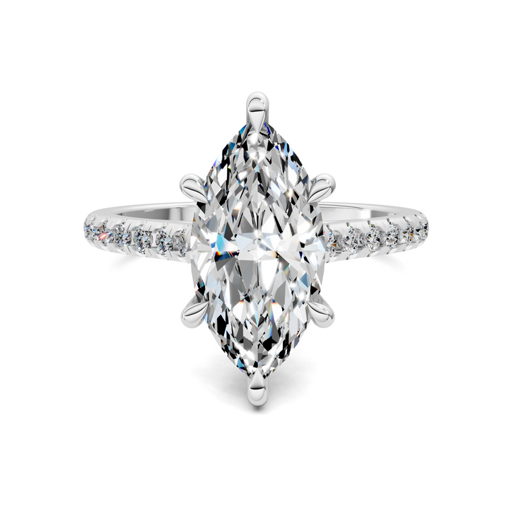 Hollie Hidden Halo Cathedral Pavé Ring