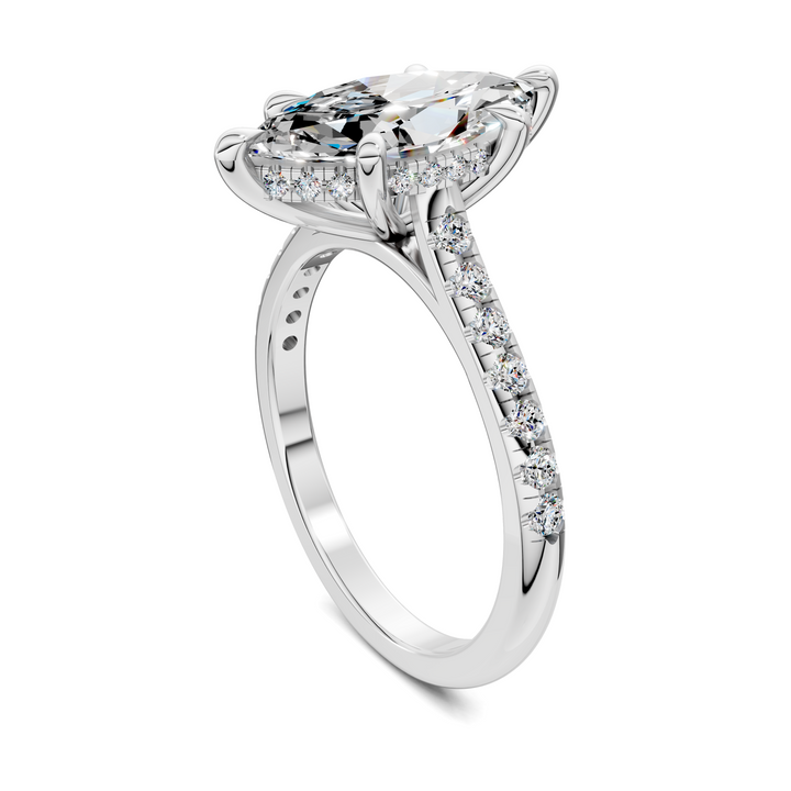 Hollie Hidden Halo Cathedral Pavé Ring