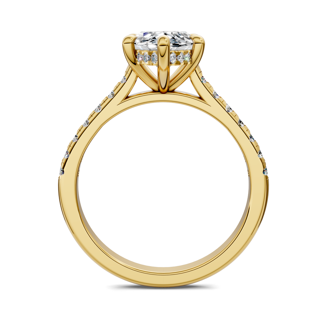 Hollie Hidden Halo Cathedral Pavé Ring