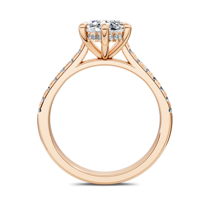 Hollie Hidden Halo Cathedral Pavé Ring