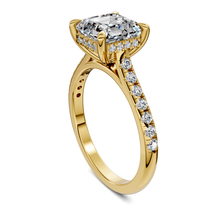 Hollie Hidden Halo Cathedral Pavé Ring
