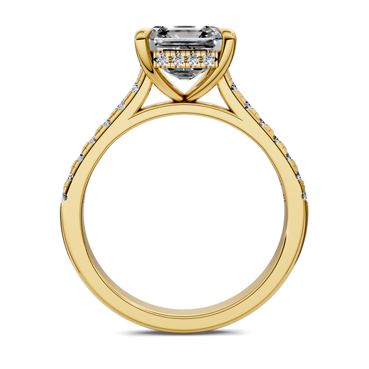 Hollie Hidden Halo Cathedral Pavé Ring
