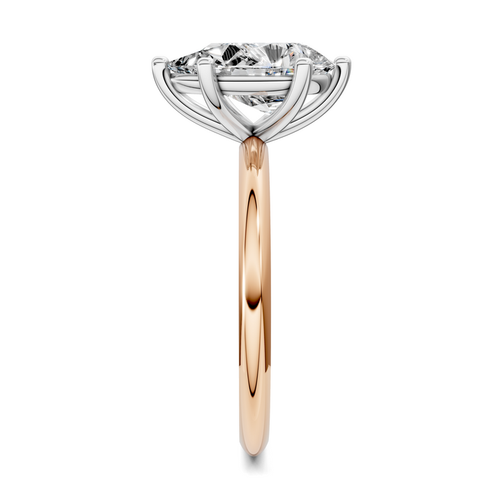 Sally Two-Tone Solitaire Ring Setting