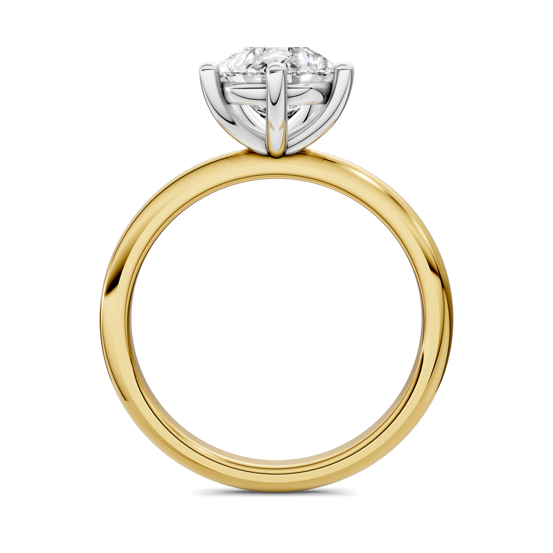 Sally Two-Tone Solitaire Ring