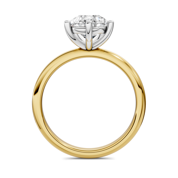 Sally Two-Tone Solitaire Ring