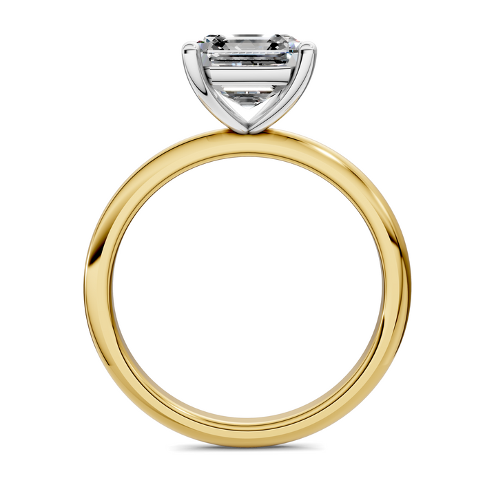 Sally Two-Tone Solitaire Ring Setting