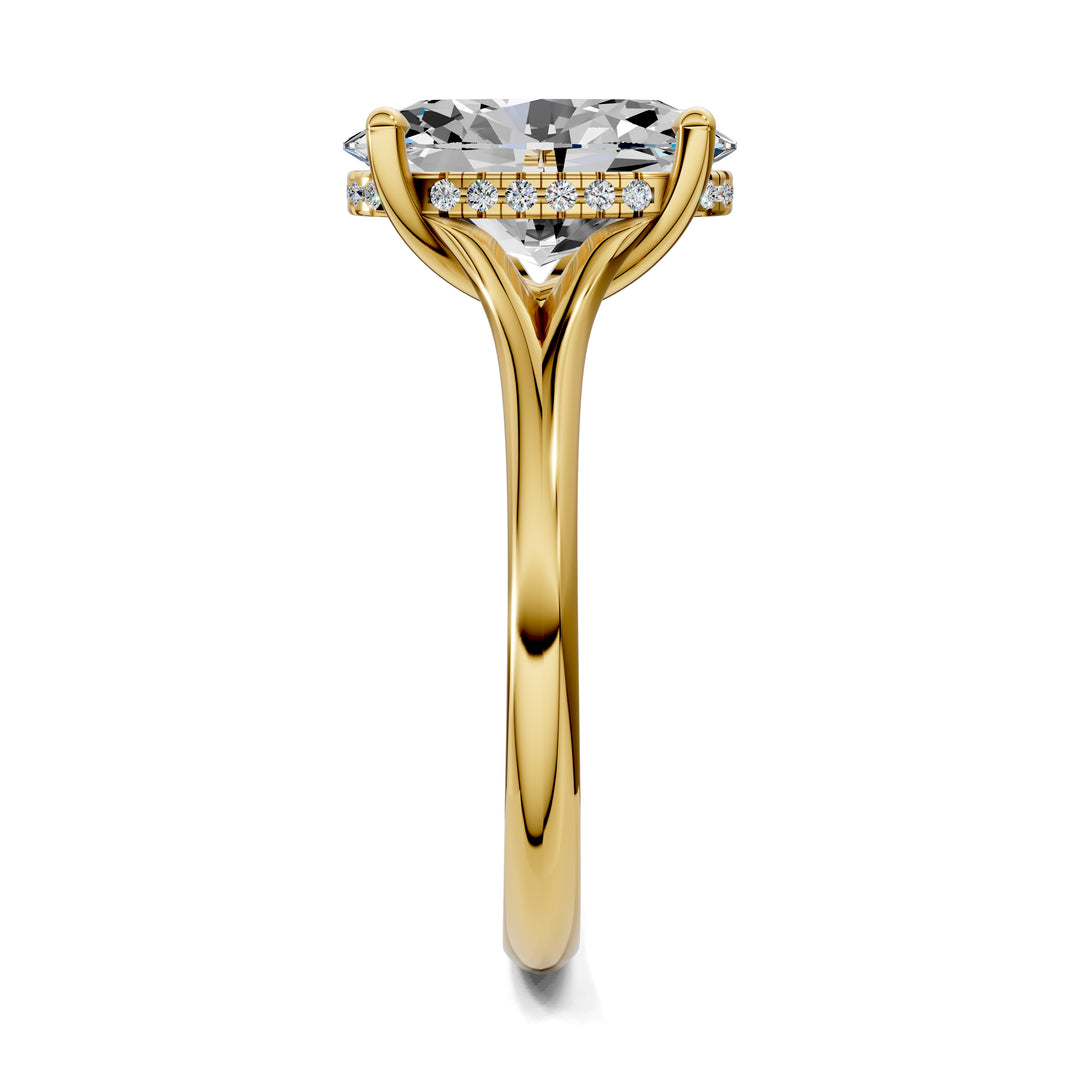 Taylor Split Shank Hidden Halo Engagement Ring