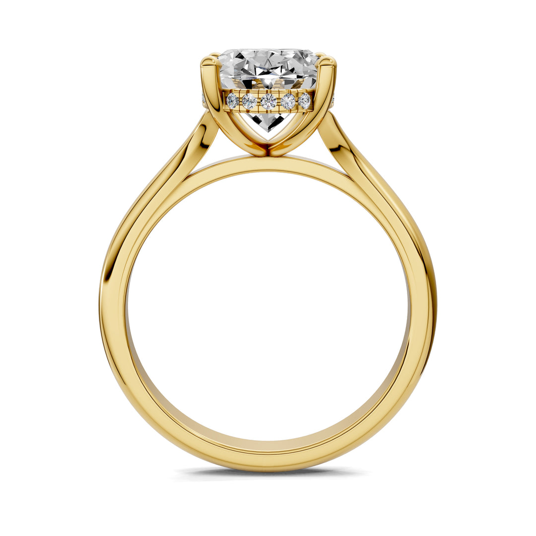 Taylor Split Shank Hidden Halo Engagement Ring
