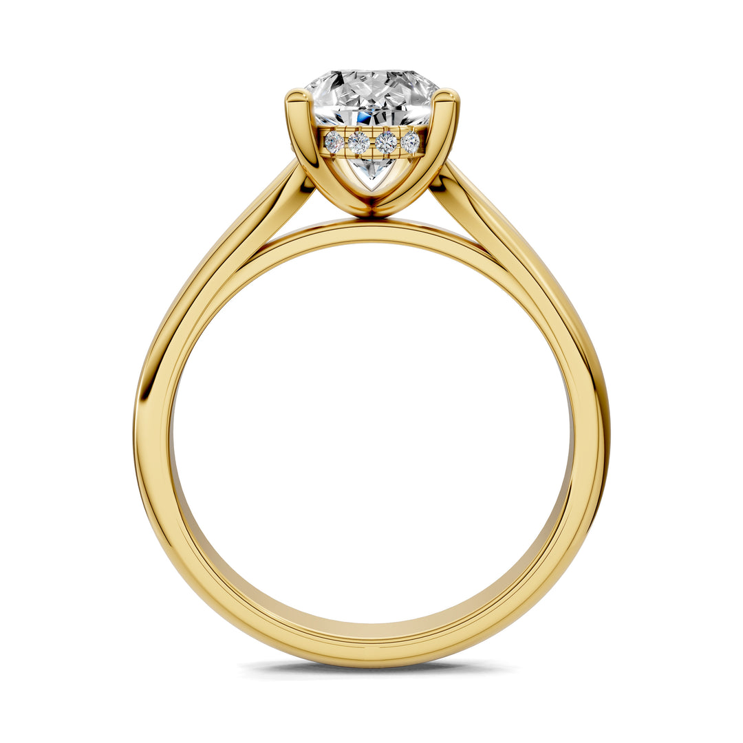 Taylor Split Shank Hidden Halo Engagement Ring
