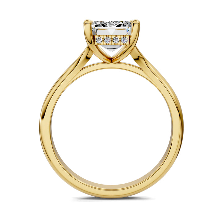 Taylor Split Shank Hidden Halo Engagement Ring