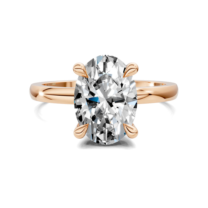 April Hidden Halo Engagement Ring