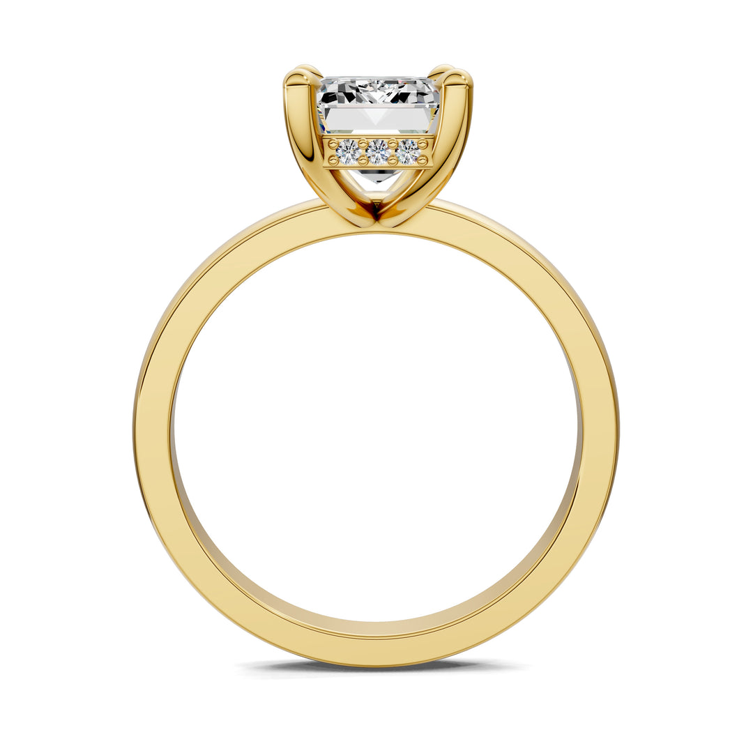 April Hidden Halo Engagement Ring