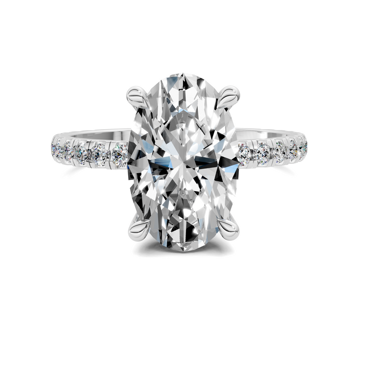 Priscilla Hidden Halo And Pave Ring