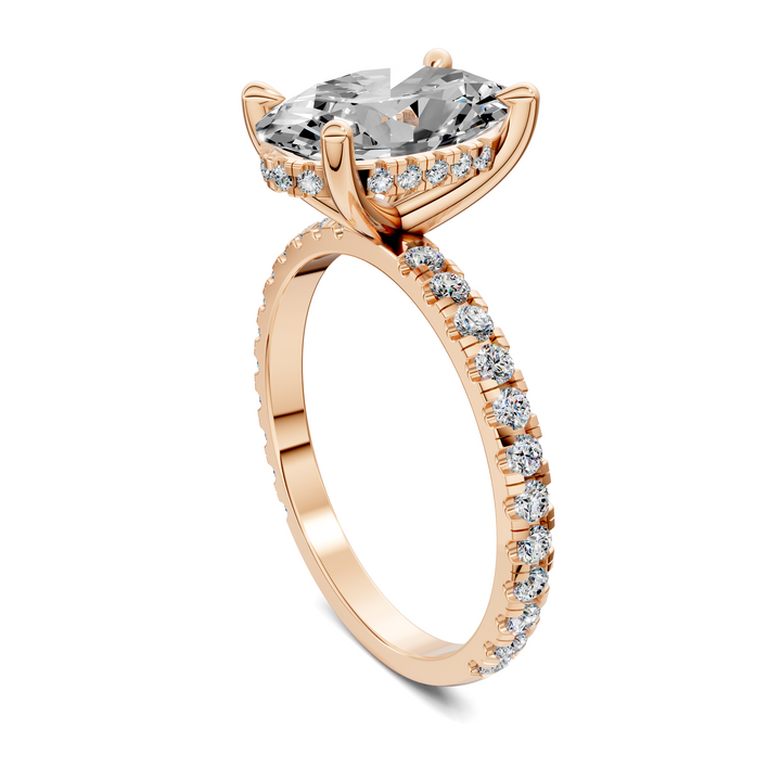Priscilla Hidden Halo And Pave Ring