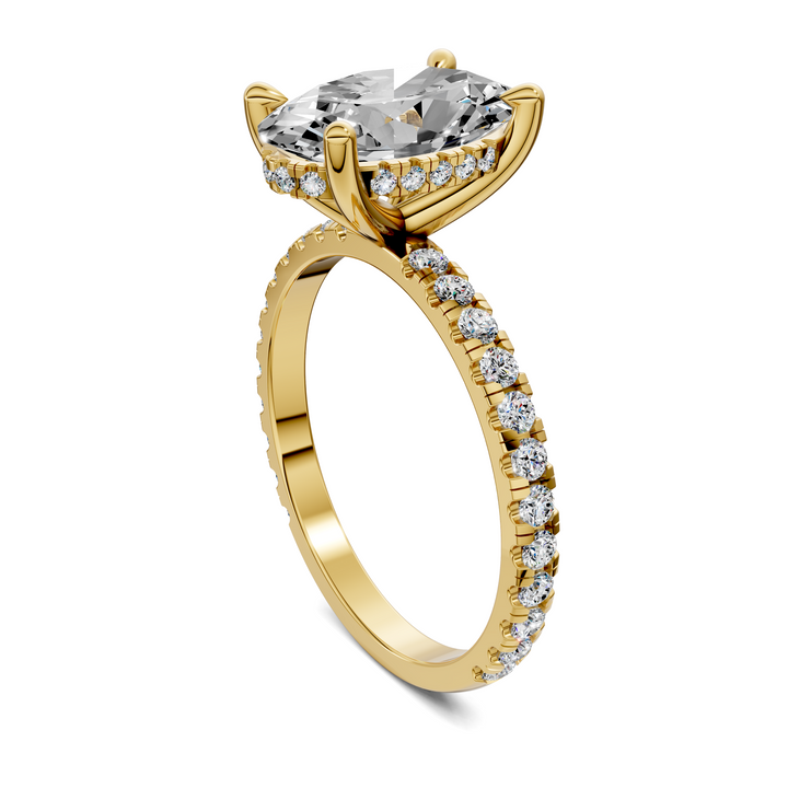 Priscilla Hidden Halo And Pave Ring