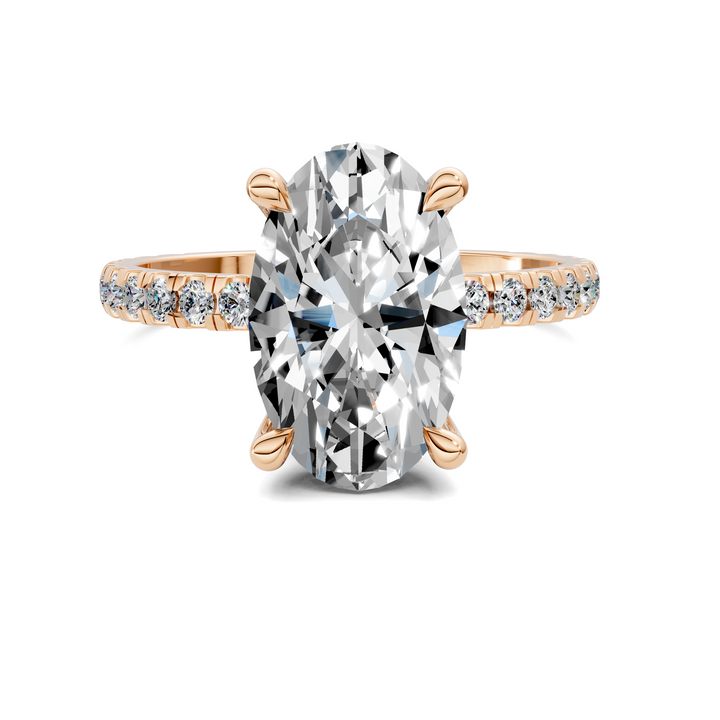 Priscilla Hidden Halo And Pave Ring