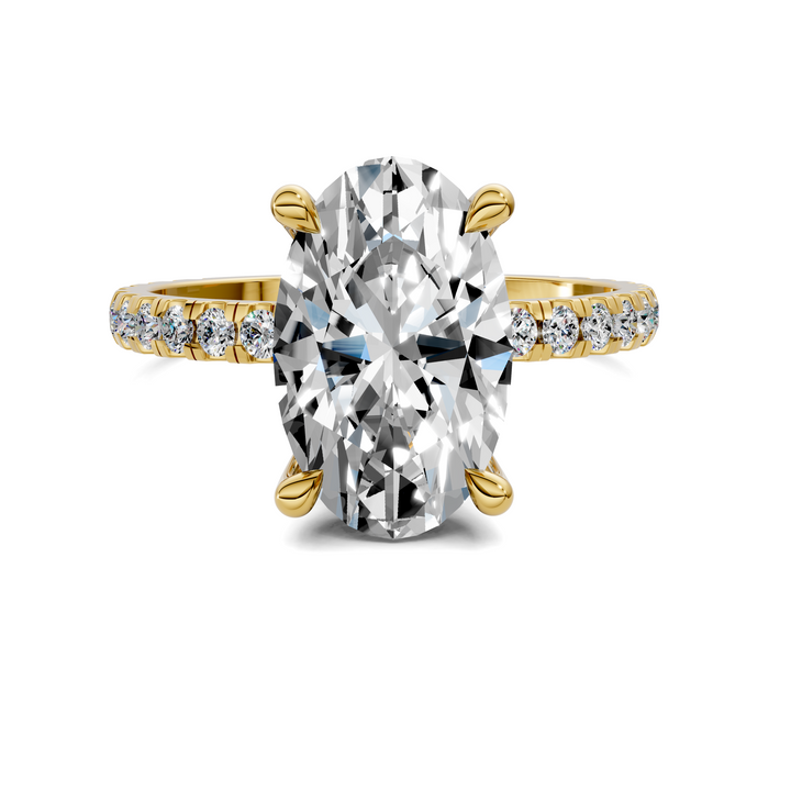 Priscilla Hidden Halo And Pave Ring