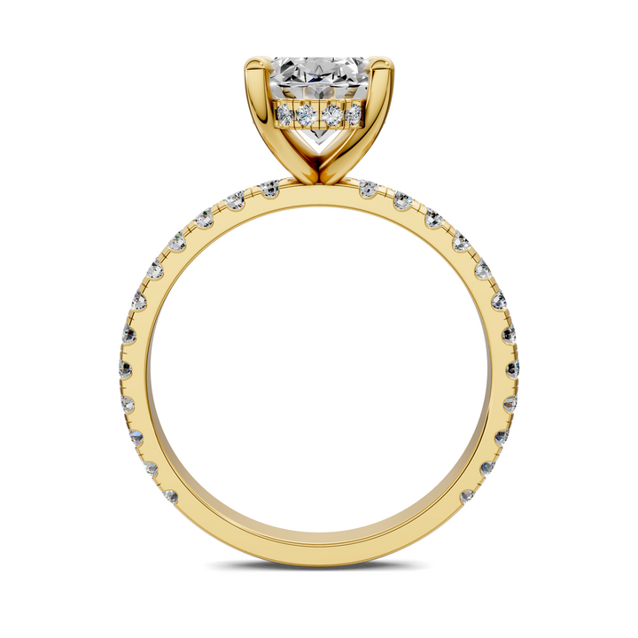 Priscilla Hidden Halo And Pave Ring