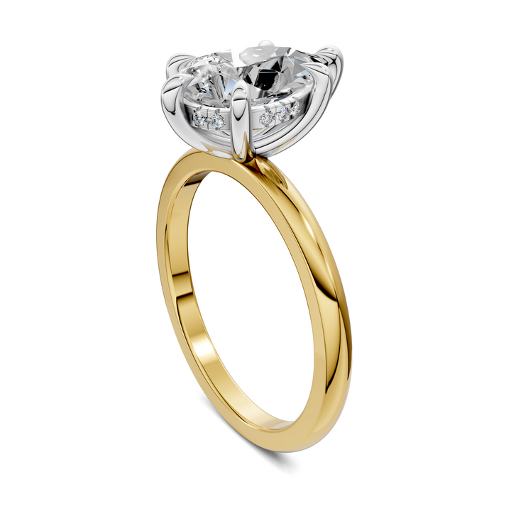 Sophia Mixed Metal Ring
