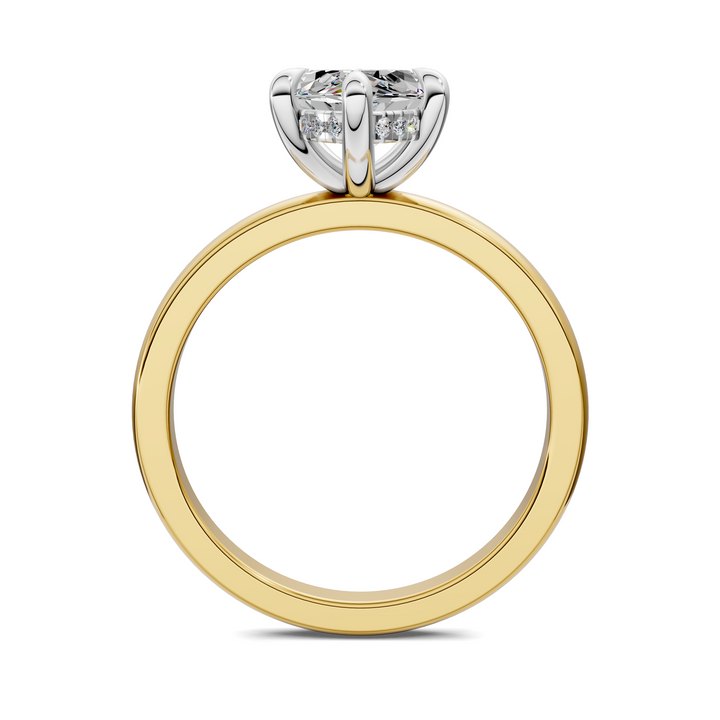 Sophia Mixed Metal Ring