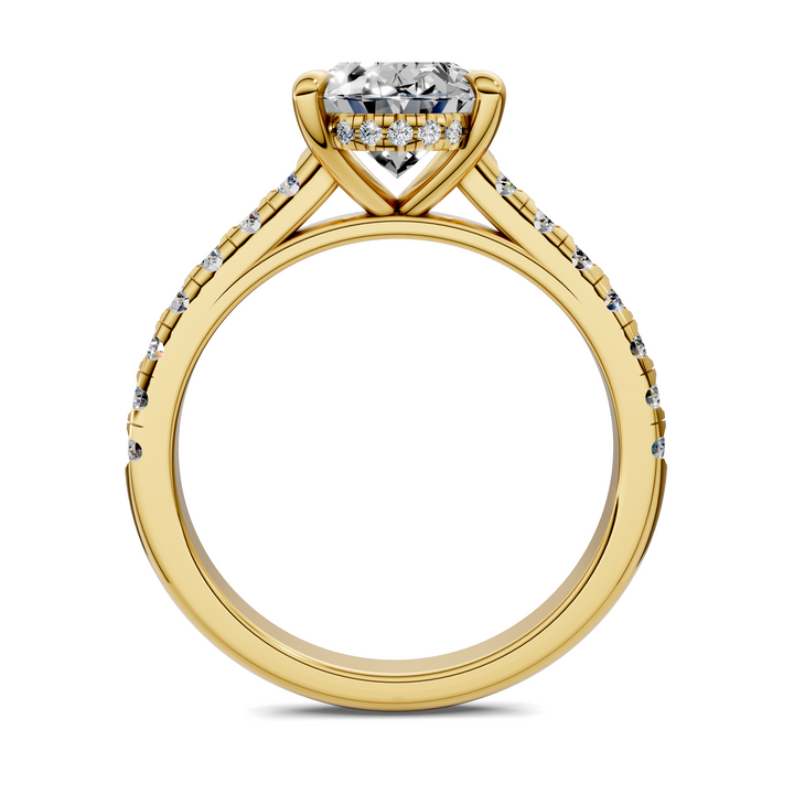 Christian Cathedral Hidden Halo Pavé Ring