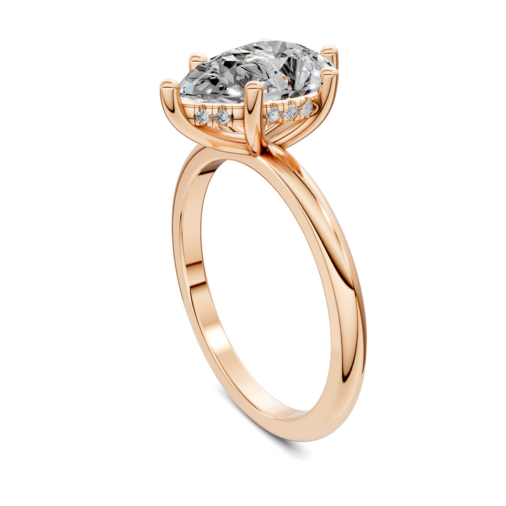 Callie Hidden Halo Solitaire Ring