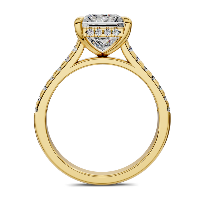 Hollie Hidden Halo Cathedral Pavé Ring